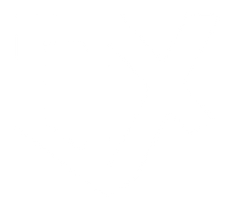 D1X Worldwide